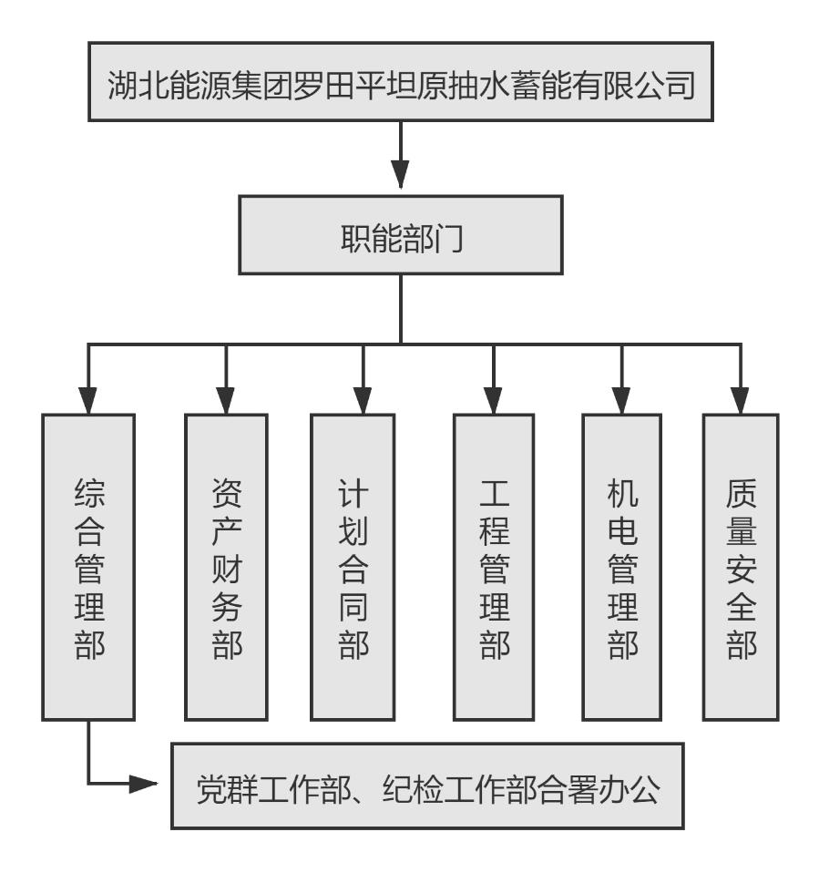 bevictor伟德集团罗田平坦原抽水蓄能有限公司组织机构